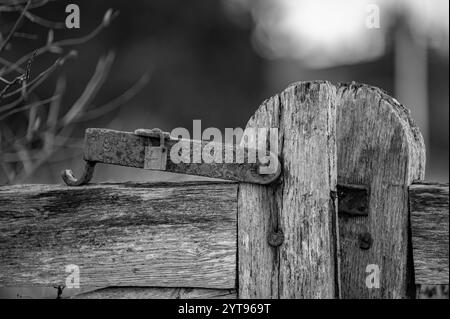 Vieux loquet de porte rouillé sur une porte en bois Banque D'Images