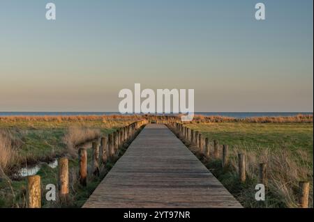 Passerelle en bois vers la mer des Wadden Banque D'Images