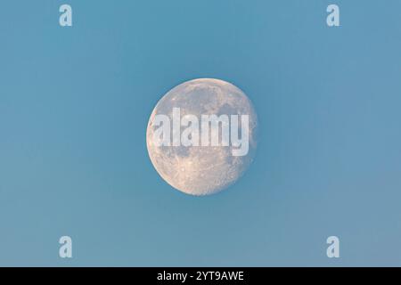 Lune tôt le matin peu après la pleine lune. Banque D'Images