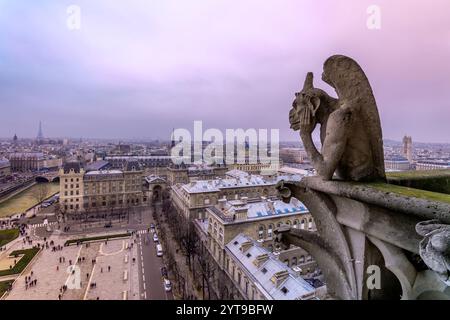 Gargouille sur le toit de Notre Dame Paris, France Banque D'Images