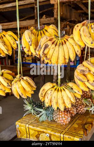 Fruits (bananes et ananas) dans un magasin de bord de route, Ban Pha Lam Phen Viewpoint Col, province de Vientiane près de Vang Vieng, nord du Laos, Asie du Sud-est Banque D'Images