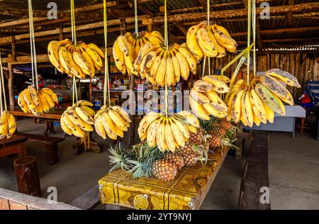 Fruits (bananes et ananas) dans un magasin de bord de route, Ban Pha Lam Phen Viewpoint Col, province de Vientiane près de Vang Vieng, nord du Laos, Asie du Sud-est Banque D'Images
