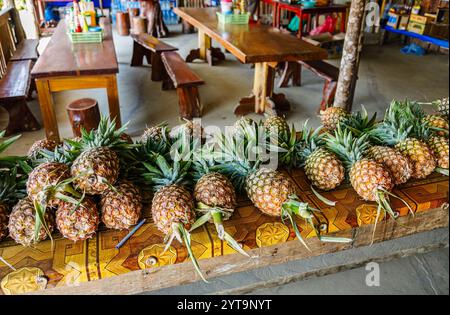 Ananas à vendre dans un magasin de bord de route à Ban Pha Lam Phen Viewpoint Col dans la province de Vientiane près de Vang Vieng, au nord du Laos, en Asie du Sud-est Banque D'Images