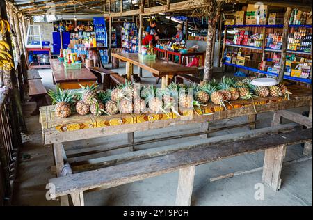 Ananas à vendre dans un magasin de bord de route à Ban Pha Lam Phen Viewpoint Col dans la province de Vientiane près de Vang Vieng, au nord du Laos, en Asie du Sud-est Banque D'Images
