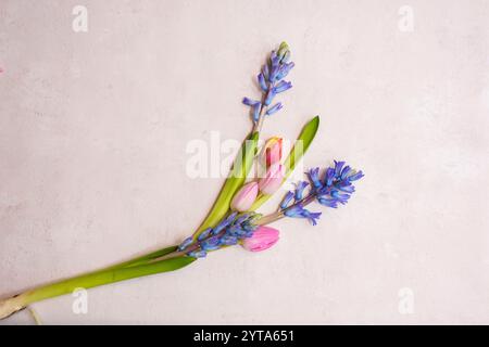 Arrangement de printemps avec des tulipes et des jacinthes Banque D'Images