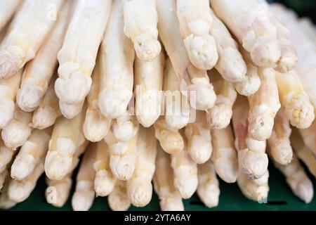 Asperges blanches fraîchement récoltées au marché hebdomadaire. Fond de gastronomie avec une courte profondeur de champ. Banque D'Images