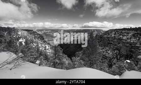 28 MARS 2023, RIVE SUD DU PARC NATIONAL DU GRAND CANYON, ARIZONA, États-Unis - neige fraîche tombe sur la rive sud du Grand Canyon Banque D'Images