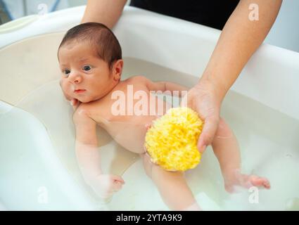 Premier bain de bébé nouveau-né, la maman lave le bébé avec une éponge naturelle Banque D'Images