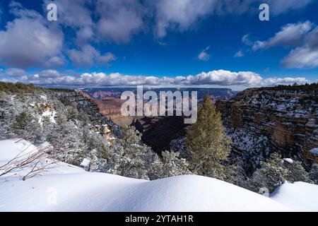 28 MARS 2023, RIVE SUD DU PARC NATIONAL DU GRAND CANYON, ARIZONA, États-Unis - neige fraîche tombe sur la rive sud du Grand Canyon Banque D'Images