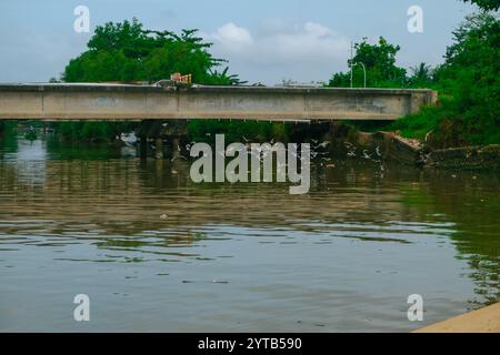 Les mouettes volent bas dans un groupe près du pont de plage de Balikpapan Banque D'Images