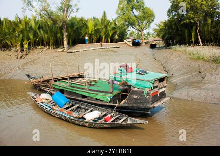 Le plus grand du monde de la forêt de mangroves des Sundarbans, célèbre pour le Royal tigre du Bengale et site du patrimoine mondial de l'UNESCO au Bangladesh. Banque D'Images