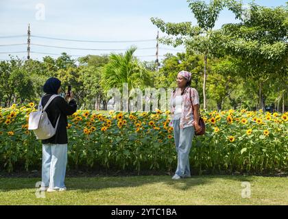Bangkok, Thaïlande. 06th Dec, 2024. Une femme est vue en train de prendre une photo de son amie devant un champ de tournesol, au parc Chatuchak, à Bangkok. Chatuchak Park est un parc public à Bangkok, offrant une retraite paisible avec des espaces verts, un lac et des zones de loisirs loin de l'agitation de la ville. Crédit : SOPA images Limited/Alamy Live News Banque D'Images