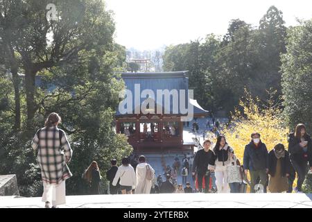 Tsurugaoka Hachimangu, le sanctuaire shinto le plus important de la ville de Kamakura, préfecture de Kanagawa, Japon Banque D'Images