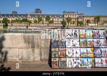 Bouquinistes ou stands de livres le long de la Seine à Paris près de la cathédrale notre-Dame, Riverside bouquinistes, boîtes vertes vendant des livres de seconde main al Banque D'Images