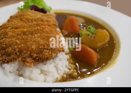 Vue rapprochée du riz au poulet au curry Tori Katsu Banque D'Images