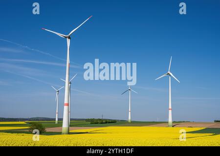 Un champ de canola fleuri avec des éoliennes vu dans l'Allemagne rurale Banque D'Images