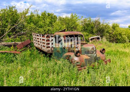 Un vieux camion rouillé est assis dans un champ d'herbe. Le camion est entouré d'arbres et de buissons, et l'herbe est haute et verte. La scène s'envole Banque D'Images