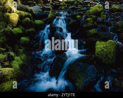 MAI 2024, OLYMPIC NATIONAL FOREST - Washington State sol Duc Waterfall dans la forêt tropicale de Olympic National Foest, Washington State Banque D'Images