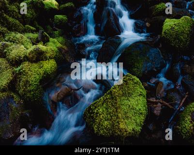 MAI 2024, OLYMPIC NATIONAL FOREST - Washington State sol Duc Waterfall dans la forêt tropicale de Olympic National Foest, Washington State Banque D'Images