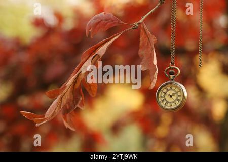 Heure d'automne. Montre à chaîne accrochée à l'arbre dans le parc, mise au point sélective Banque D'Images