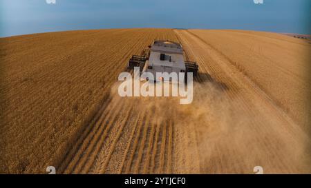 JUILLET 2024, PALOUSE, WASHINGTON - récolte de blé avec des moissonneuses-batteuses dans la région de Palouse dans l'État de Washington Banque D'Images