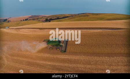 JUILLET 2024, PALOUSE, WASHINGTON - récolte de blé avec des moissonneuses-batteuses dans la région de Palouse dans l'État de Washington Banque D'Images