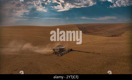 JUILLET 2024, PALOUSE, WASHINGTON - récolte de blé avec des moissonneuses-batteuses dans la région de Palouse dans l'État de Washington Banque D'Images