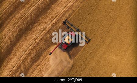 JUILLET 2024, PALOUSE, WASHINGTON - récolte de blé avec des moissonneuses-batteuses dans la région de Palouse dans l'État de Washington Banque D'Images