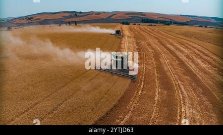 JUILLET 2024, PALOUSE, WASHINGTON - récolte de blé avec des moissonneuses-batteuses dans la région de Palouse dans l'État de Washington Banque D'Images