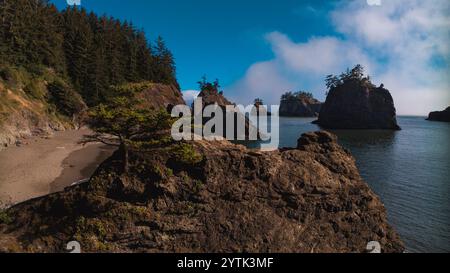 JUILLET 2024, BROOKINGS, OREGON - plage secrète - meule de foin rochers de mer au parc d'État Harris au nord de Brookings, Oregon avec brouillard Banque D'Images