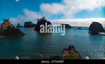 JUILLET 2024, BROOKINGS, OREGON - plage secrète - meule de foin rochers de mer au parc d'État Harris au nord de Brookings, Oregon avec brouillard Banque D'Images