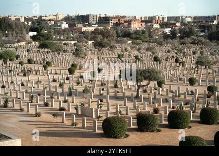 Une vue solennelle du cimetière de guerre d'El Alamein, avec des pierres tombales soigneusement alignées entourées de plantes et d'arbres du désert, commémorant la soldie britannique de la seconde Guerre mondiale Banque D'Images