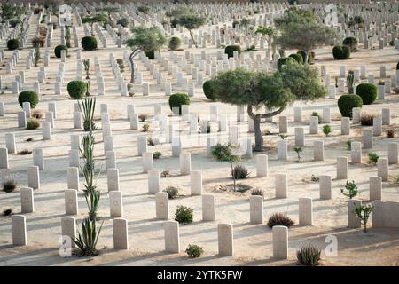 Une vue solennelle du cimetière de guerre d'El Alamein, avec des pierres tombales soigneusement alignées entourées de plantes et d'arbres du désert, commémorant la soldie britannique de la seconde Guerre mondiale Banque D'Images