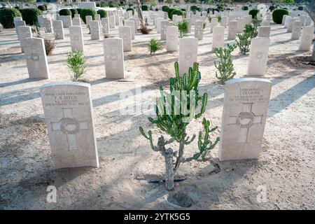 Une vue du cimetière de guerre d'El Alamein, présentant les tombes de soldats néo-zélandais, dont le lance Bombardier F.H. Baylis et le soldat J. Cramond. Banque D'Images