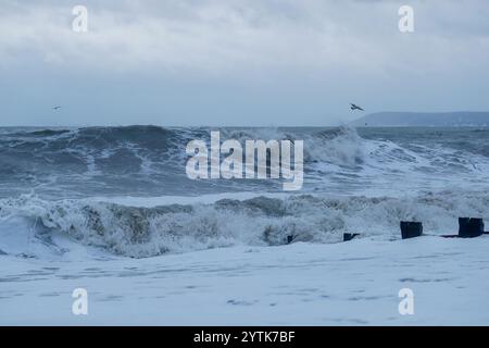 Marina court Avenue, Bexhill-on-Sea. 07 décembre 2024. Les avertissements du met Office étaient en vigueur pour les vents violents le long de la côte est du Sussex aujourd'hui alors que la tempête Darragh touchait terre. Des vents de force et des vagues de tempête frappant Bexhill-on-Sea près d'Eastbourne dans l'est du Sussex. Birling Gap, Eastbourne. 07 décembre 2024. Les avertissements du met Office étaient en vigueur pour les vents violents le long de la côte est du Sussex ce matin alors que la tempête Darragh touchait terre. Les vents de force et les vagues de tempête frappent Birling Gap à Eastbourne dans l'est du Sussex au premier feu. Crédit : james jagger/Alamy Live News Banque D'Images