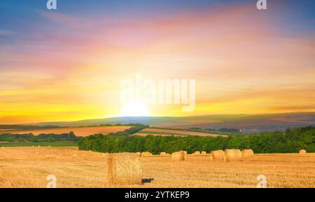 Balles de foin sur le champ agricole doré. Paysage agricole. Banque D'Images