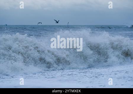 Marina court Avenue, Bexhill-on-Sea. 07 décembre 2024. Les avertissements du met Office étaient en vigueur pour les vents violents le long de la côte est du Sussex aujourd'hui alors que la tempête Darragh touchait terre. Des vents de force et des vagues de tempête frappant Bexhill-on-Sea près d'Eastbourne dans l'est du Sussex. Birling Gap, Eastbourne. 07 décembre 2024. Les avertissements du met Office étaient en vigueur pour les vents violents le long de la côte est du Sussex ce matin alors que la tempête Darragh touchait terre. Les vents de force et les vagues de tempête frappent Birling Gap à Eastbourne dans l'est du Sussex au premier feu. Crédit : james jagger/Alamy Live News Banque D'Images