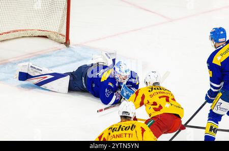 Kloten, Suisse, 30 novembre 2024 : le gardien #39 Sandro Zurkirchen (Kloten) enterre la rondelle. (Photo Andreas Haas/dieBildmanufaktur) Banque D'Images