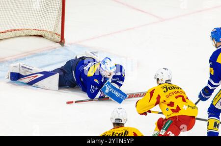 Kloten, Suisse, 30 novembre 2024 : le gardien #39 Sandro Zurkirchen (Kloten) enterre la rondelle. (Photo Andreas Haas/dieBildmanufaktur) Banque D'Images