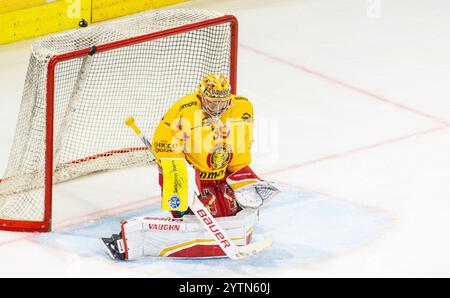 Kloten, Suisse, 30 novembre 2024 : le gardien #39 Luca Boltshauser (Langnau) défend une rondelle. (Photo Andreas Haas/dieBildmanufaktur) Banque D'Images