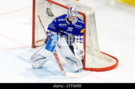 Kloten, Suisse, 2 novembre 2024 : #35 Ludovic Waeber, gardien de but EHC Kloten. (Photo Andreas Haas/dieBildmanufaktur) Banque D'Images