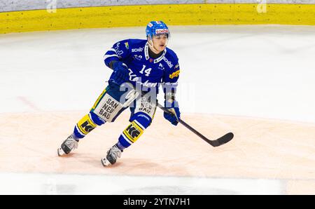 Kloten, Suisse, 2 novembre 2024 : #14 Mischa Ramel, attaquant EHC Kloten. (Photo Andreas Haas/dieBildmanufaktur) Banque D'Images