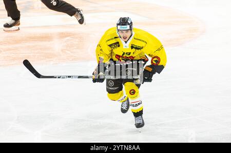 Kloten, Suisse, 24 novembre 2024 : #13 Yannic Offner, attaquant SC Bern future, U20-Elit Team. (Photo Andreas Haas/dieBildmanufaktur) Banque D'Images