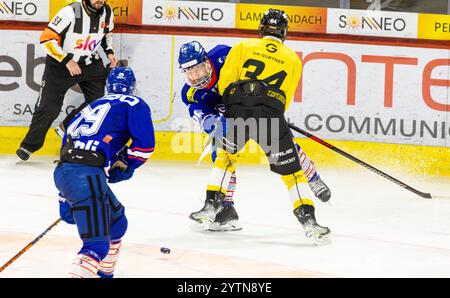 Kloten, Suisse, 24 novembre 2024 : #17 Elia Liniger (Kloten) joue la passe à #29 Artturi Viitakoski (Kloten) alors qu'il est contrôlé par #34 Janik Rufen Banque D'Images