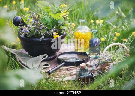 Mortier d'herbes médicinales, vieux livre, bouteilles d'infusion, panier et loupe sur une herbe sur une prairie d'été à l'extérieur. Banque D'Images