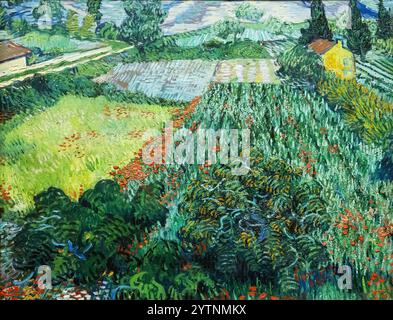 Champ de Van Gogh avec coquelicots, 1889 ; champ de coquelicots. Vincent Van Gogh peinture, paysage de Van Gogh ; peinture du XIXe siècle, Van Gogh post-impressionniste Banque D'Images