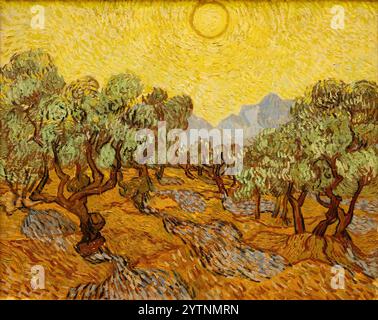 Van Gogh Olive Trees,1889, huile sur toile. Peinture de Vincent Van Gogh, paysage de Van Gogh ; peinture du XIXe siècle, paysage de Van Gogh. Banque D'Images