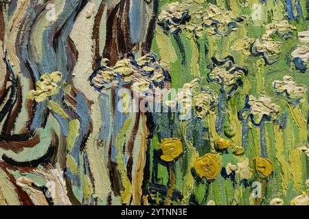 Gros plan des troncs d'arbre de Van Gogh dans l'herbe 1890 ; pour montrer les coups de pinceau de Van Gogh, la technique et le style de peinture de Vincent Van Gogh Banque D'Images