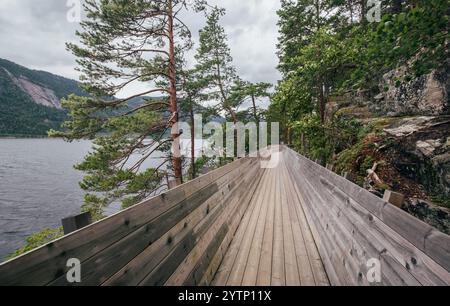 Hamaren Activity Park passerelle en bois vue grand angle photo. Marcher le long du lac Fyresvatnet forêt de pins surraunded pendant la fin de l'été jour venteux. Banque D'Images