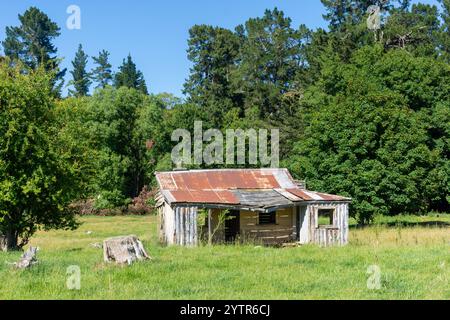 Ferme abandonnée dans la campagne, Fairlie-Tekapo Road, Kimbell, Canterbury, Île du Sud, nouvelle-Zélande Banque D'Images